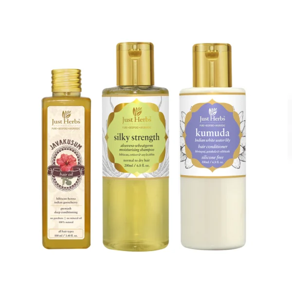 Ayurvedic Frizzy or Dry Hair Kit